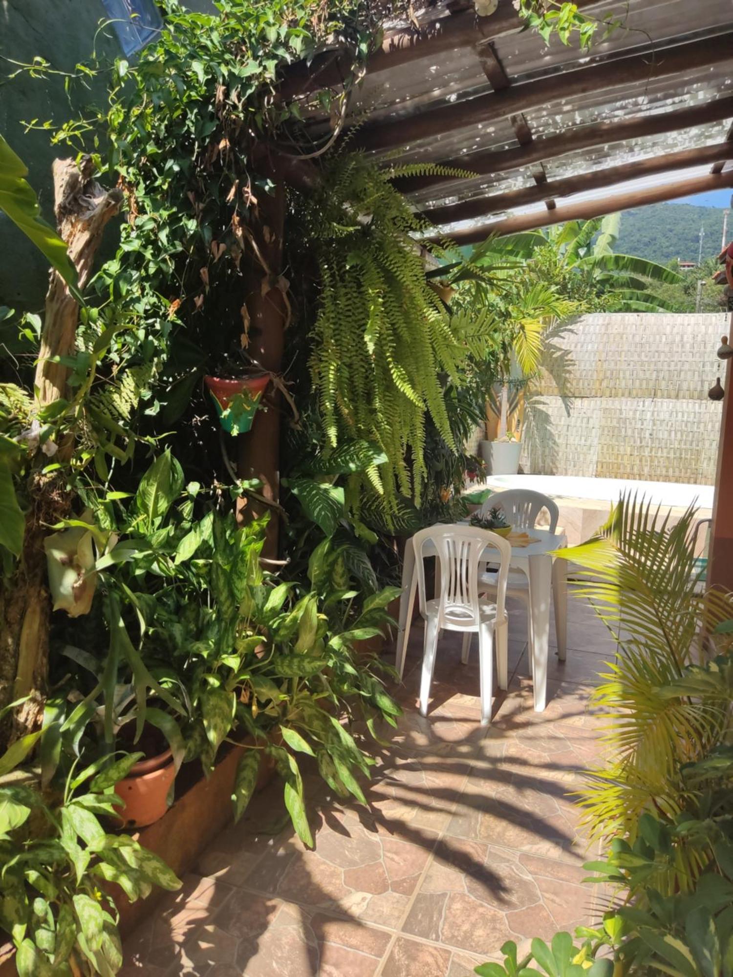 Recanto Toca Das Plantas De Ilhabela I Oda fotoğraf